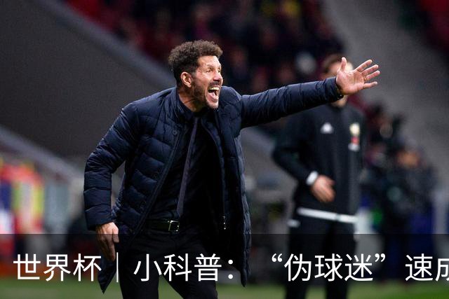 世界杯｜小科普：“伪球迷”速成手册